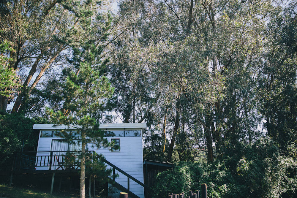 L'Auberge Country Hideaway Port Elizabeth Eksteriør billede
