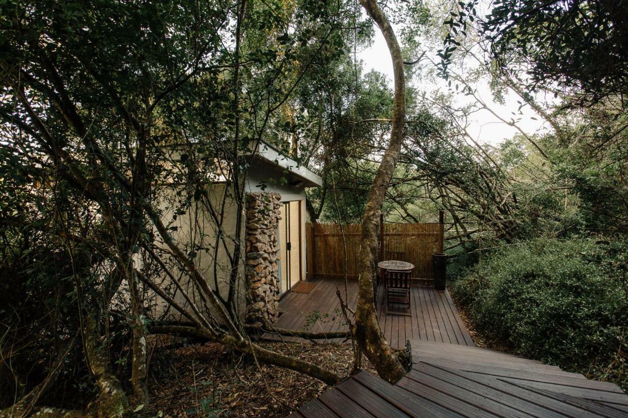 L'Auberge Country Hideaway Port Elizabeth Eksteriør billede