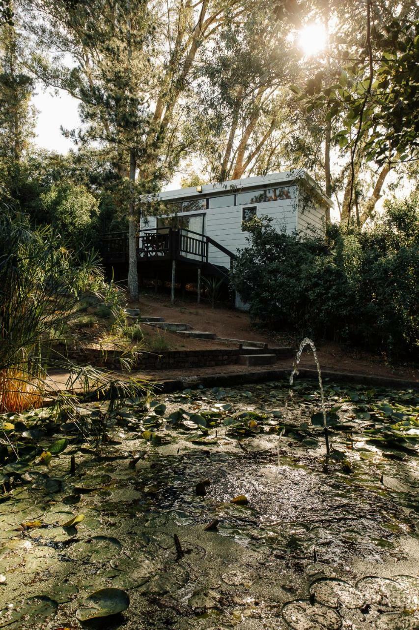 L'Auberge Country Hideaway Port Elizabeth Eksteriør billede