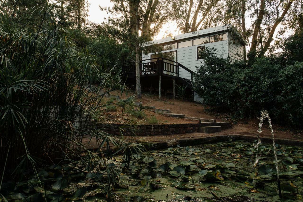 L'Auberge Country Hideaway Port Elizabeth Eksteriør billede