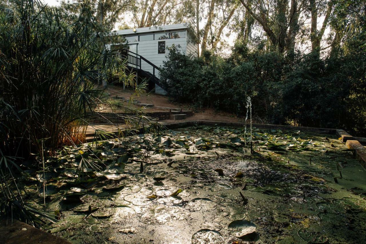 L'Auberge Country Hideaway Port Elizabeth Eksteriør billede
